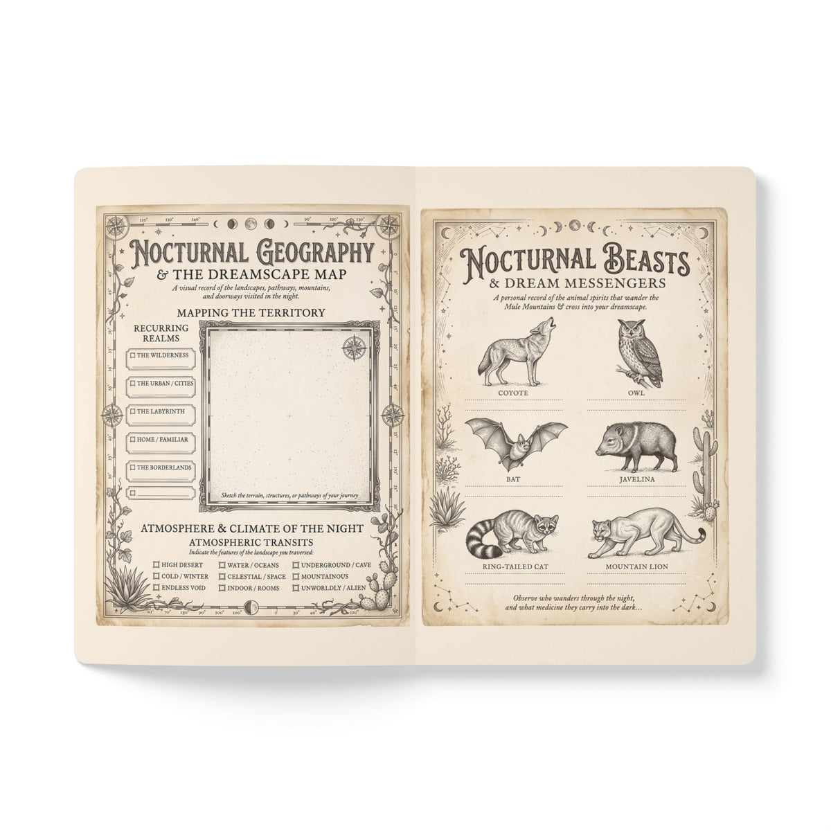 Butterfly Desert Journal — Illustrated Softcover Dream Notebook - Dark Sky Outpost